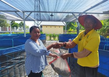 Kegiatan SAE, Panen Awal Bioflok Ikan Nila Curi Perhatian Masyarakat Untuk Membeli