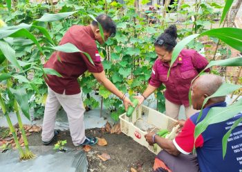 Sukses Berkebun, Warga Binaan Lapas Wahai Panen Pare dan Mentimun