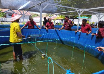 Optimalkan Program Pembinaan, Kalapas Namlea Tinjau Budidaya Perikanan Bioflok