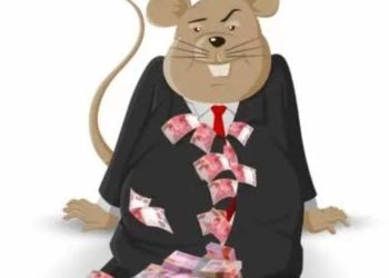 Kades Dava, Ke Mana Dana Desa Mengalir?