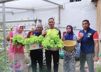 Berkah Akhir Bulan, Tomat dan Selada Warga Binaan Lapas Wahai Diborong Masyarakat