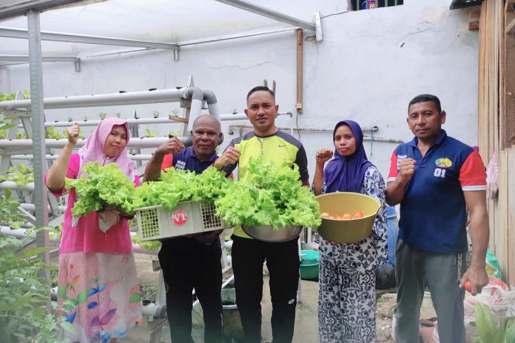 Berkah Akhir Bulan, Tomat dan Selada Warga Binaan Lapas Wahai Diborong Masyarakat