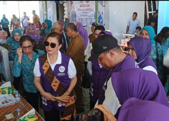 Ketua TP PKK Maluku Maya Baby Lewerissa Kunker ke Bursel Temu Kader Posyandu dan Sosialiasi Program Stunting