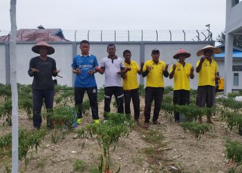 Panen 18 Kg Cabai Keriting, Lapas Namlea Berhasil Budidayakan 7 Jenis Sayuran
