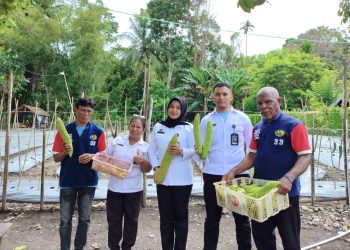 Ketahanan Pangan dari Balik Jeruji, Lapas Wahai Sukses Panen Pare dan Cabai