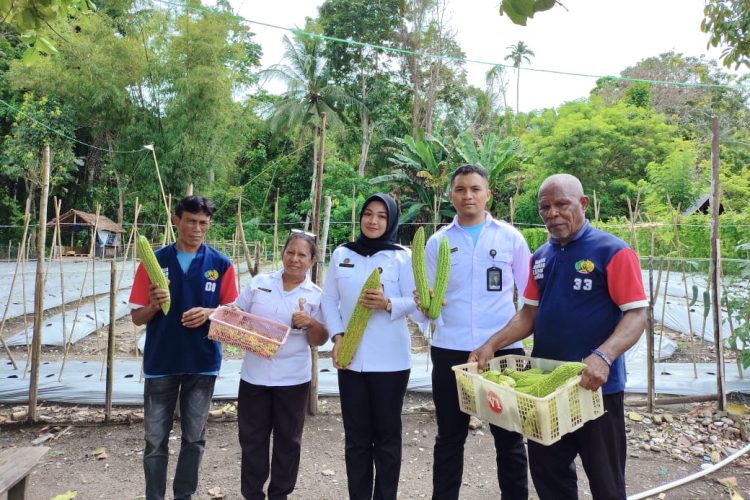 Ketahanan Pangan dari Balik Jeruji, Lapas Wahai Sukses Panen Pare dan Cabai