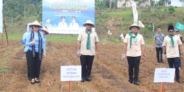 Wagub Vanath Dorong Modernisasi Pertanian: Hotong sebagai Pangan Lokal Strategis, Maluku Targetkan 5.000 Hektare Kakao