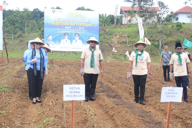 Wagub Vanath Dorong Modernisasi Pertanian: Hotong sebagai Pangan Lokal Strategis, Maluku Targetkan 5.000 Hektare Kakao
