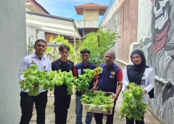 Hijaukan Dapur Lapas, Warga Binaan Lapas Wahai Konsisten Panen Tomat dan Selada Segar