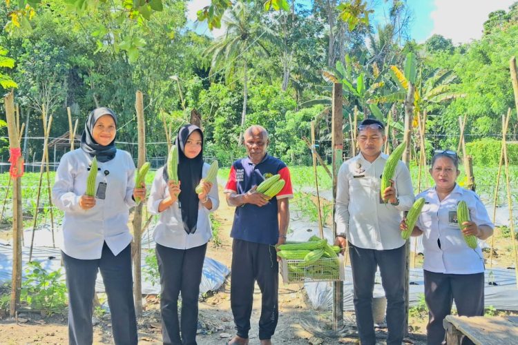 Panen Sayuran Buah Pare, Wujud Ketahanan Pangan Berkelanjutan di Lapas Wahai