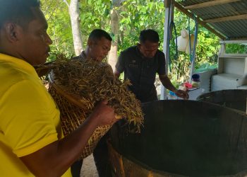 Terus Konsisten, Lapas Namlea Masifkan Produksi Minyak Kayu Putih 86