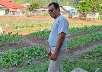 Dinas Pertanian Bursel Dorong Pembangunan Pabrik Minyak Kelapa di Daerah