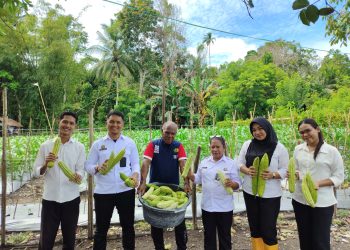 Lapas Wahai Libatkan Peserta Magang Panen Sayur Pare, Beri Pengalaman Praktis