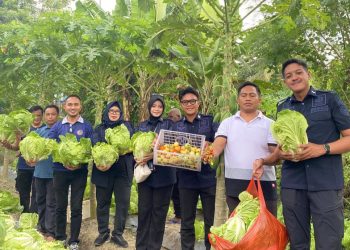 Dukung Kemandirian Warga Binaan, Lapas Wahai Panen Sayur bersama Kanwil Ditjenpas Maluku