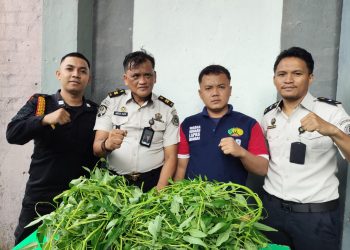 Semangat Kemandirian di Awal Tahun, Warga Binaan Lapas Wahai Panen Kangkung Hidroponik