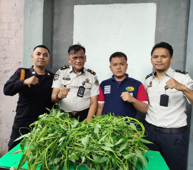 Semangat Kemandirian di Awal Tahun, Warga Binaan Lapas Wahai Panen Kangkung Hidroponik