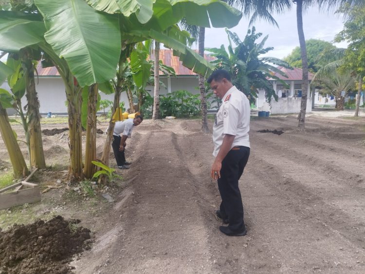 Jaga Kualitas Pertanian, Kalapas Namlea Pantau Pengaplikasian Pupuk Organik
