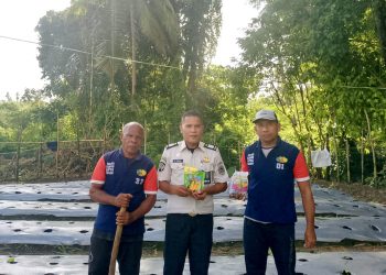 Pasca Panen Raya Jagung, Warga Binaan Lapas Wahai Lanjut Bertanam Bibit Perkuat Kemandirian Pangan