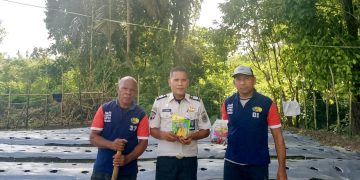 Pasca Panen Raya Jagung, Warga Binaan Lapas Wahai Lanjut Bertanam Bibit Perkuat Kemandirian Pangan