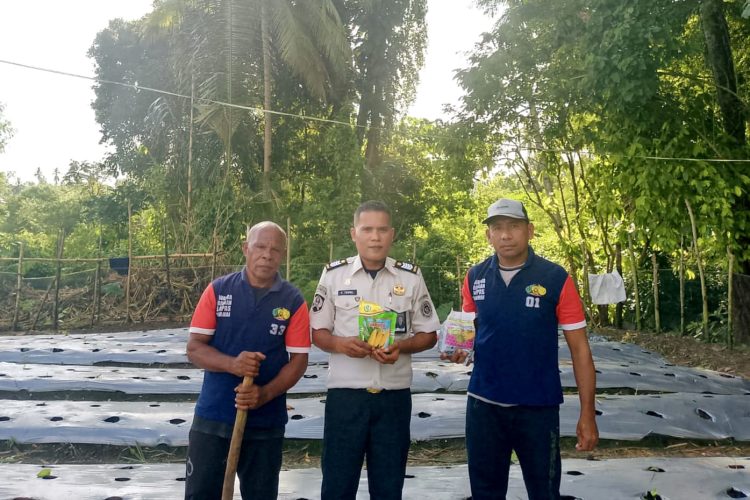 Pasca Panen Raya Jagung, Warga Binaan Lapas Wahai Lanjut Bertanam Bibit Perkuat Kemandirian Pangan
