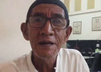 Potensi Pertambangan Buru Selatan Dinilai Menjanjikan, Perlu Pengelolaan Berkelanjutan