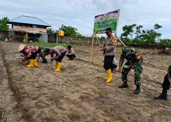 Wakapolres Buru Pimpin Penanaman Jagung Kuartal I di Namlea