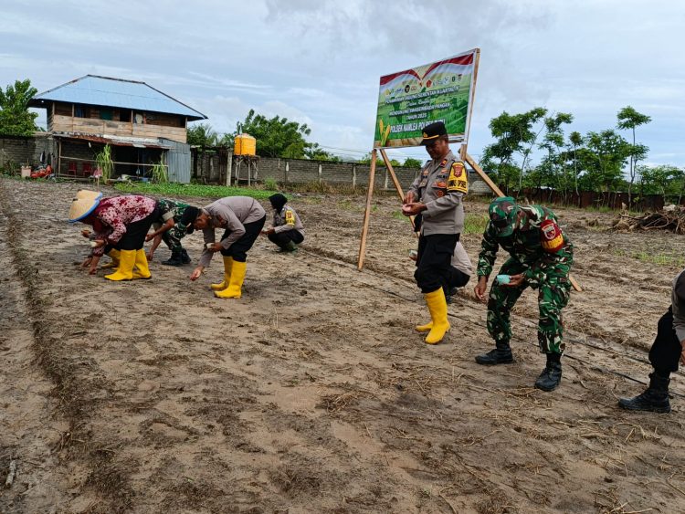 Wakapolres Buru Pimpin Penanaman Jagung Kuartal I di Namlea