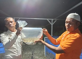 Sebanyak 200 Benih Varian Lele Dumbo, Siap Jadi Salah Satu Produk Unggulan Lapas Namlea