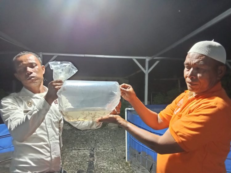 Sebanyak 200 Benih Varian Lele Dumbo, Siap Jadi Salah Satu Produk Unggulan Lapas Namlea