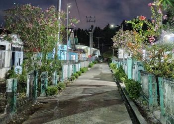 BPHI: Apresiasi Perjuangan Bupati LHM Hadirkan Listrik PLN Dipelosok Leksula