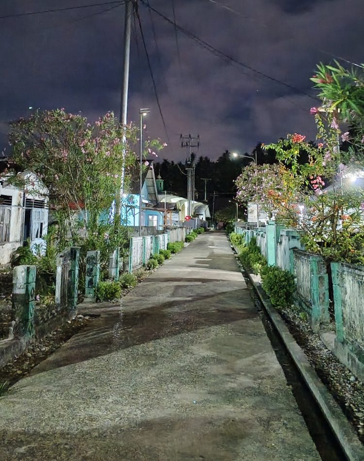 BPHI: Apresiasi Perjuangan Bupati LHM Hadirkan Listrik PLN Dipelosok Leksula