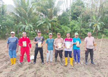 Polsek Waesama Tanam Jagung Pipil di Lahan 2 Hektar, Dukung Ketahanan Pangan