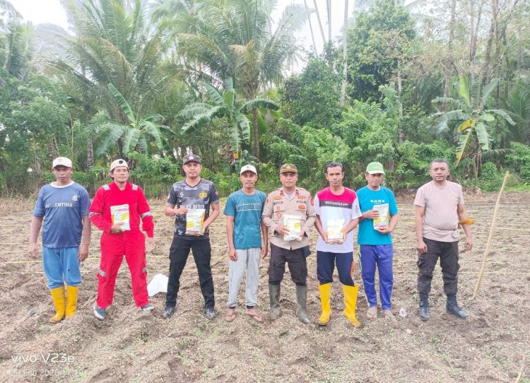Polsek Waesama Tanam Jagung Pipil di Lahan 2 Hektar, Dukung Ketahanan Pangan