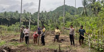 Polsek Leksula Laksanakan Penanaman Jagung Pipil Dukung Program Ketahanan Pangan Nasional