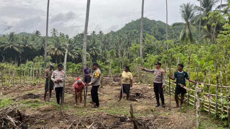 Polsek Leksula Laksanakan Penanaman Jagung Pipil Dukung Program Ketahanan Pangan Nasional
