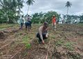 Polsek Waesama Bersama Masyarakat Tanam Jagung Pipil Dukung Program Ketahanan Pangan Nasional