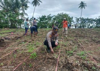 Polsek Leksula Laksanakan Penanaman Jagung Pipil Dukung Program Ketahanan Pangan Nasional