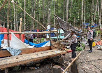 PENERTIBAN PETI WARAMSIHAT:  300 TENDA DIBONGKAR, AKTIVITAS TAMBANG ILEGAL DILUMPUHKAN