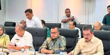 HILIRISASI UBI KAYU BURU SELATAN DAPAT RESTU MENTAN, DORONG SWASEMBADA PANGAN DAN INDUSTRI BERBASIS PERTANIAN