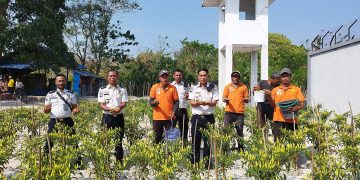 Produktif di Tengah Kemarau, Lapas Namlea Sukses Panen Cabai Rawit