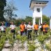 Produktif di Tengah Kemarau, Lapas Namlea Sukses Panen Cabai Rawit