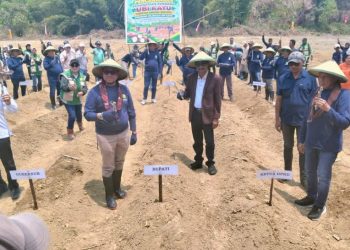 Hilirisasi Ubi Kayu Varietas Unggul Garuda di Buru Selatan, Dukung Agenda Presiden Prabowo Tingkatkan Kesejahteraan Petani