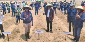 Hilirisasi Ubi Kayu Varietas Unggul Garuda di Buru Selatan, Dukung Agenda Presiden Prabowo Tingkatkan Kesejahteraan Petani