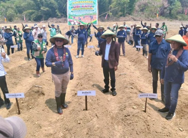 Hilirisasi Ubi Kayu Varietas Unggul Garuda di Buru Selatan, Dukung Agenda Presiden Prabowo Tingkatkan Kesejahteraan Petani